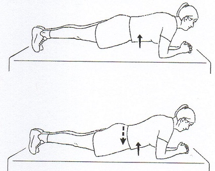 plank1