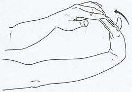 Figure drawing of wrist flexor exercise.
