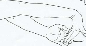 Figure drawing of wrist flexor exercise.