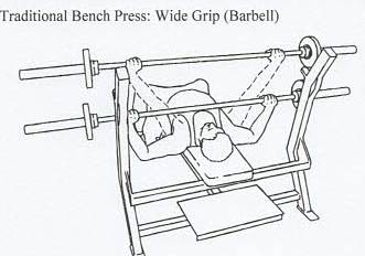 The Bench Press – Nancy L. Fitness